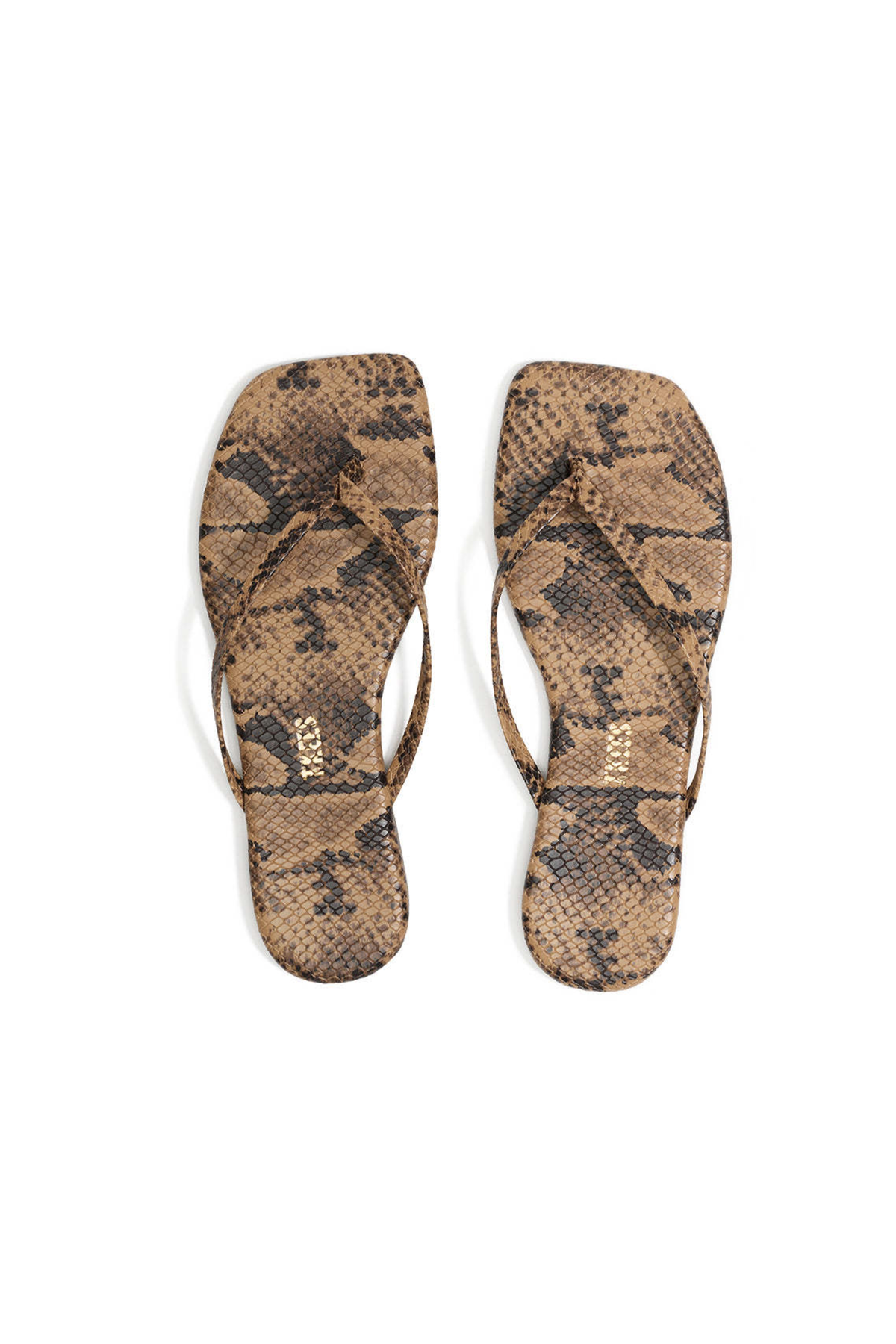 TKEES Square Toe Exotics