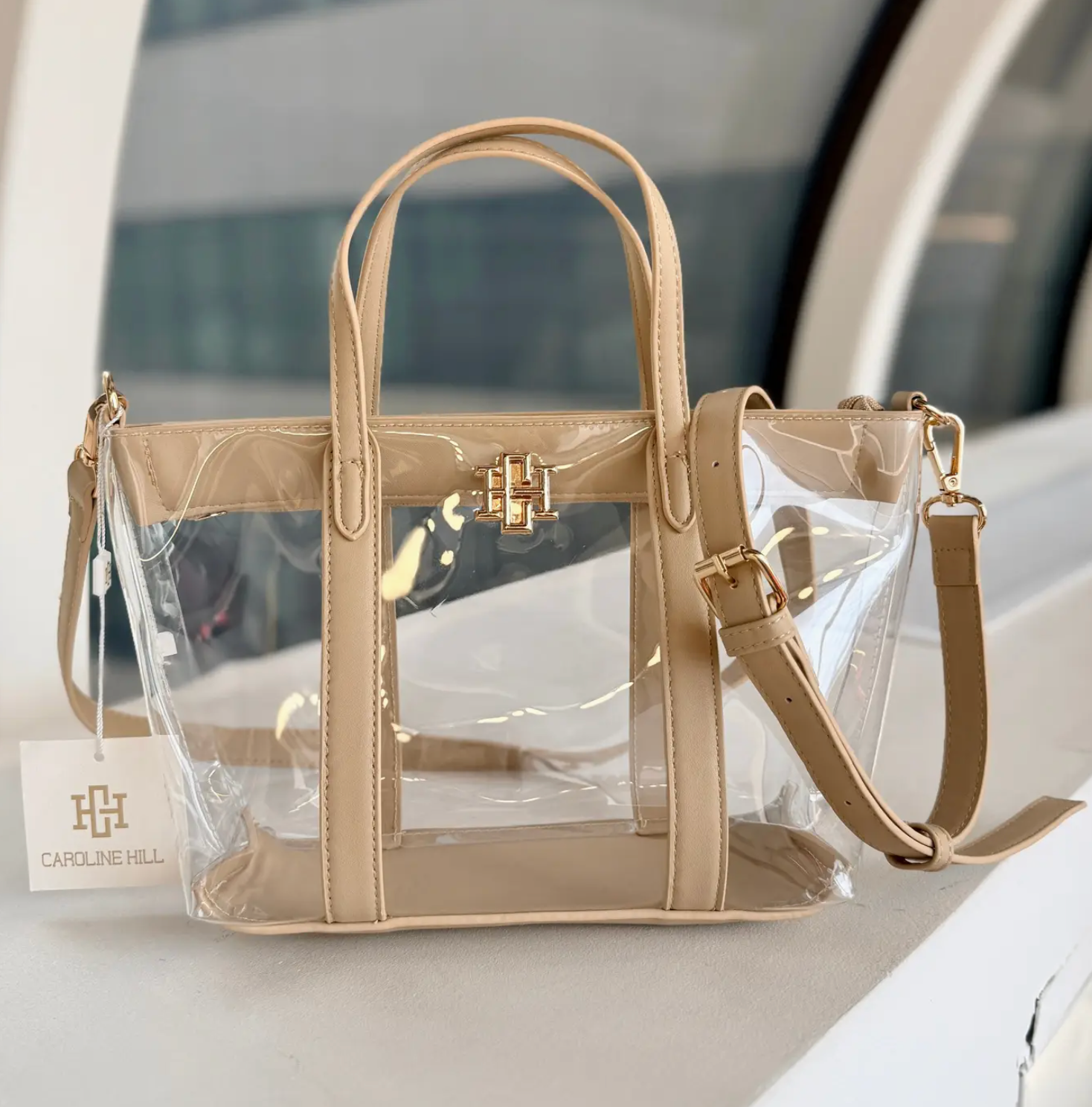 Molly Clear Mini Tote